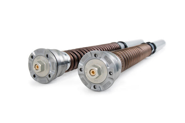 Öhlins 2019+ BMW S1000RR NIX 30 Front Fork Cartridge Kit